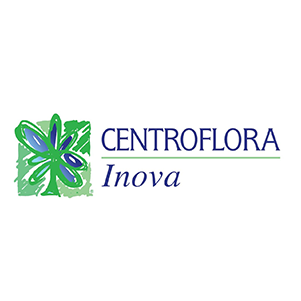 Cliente Cliente